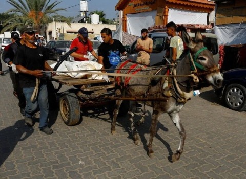 Gazze'de Ambulanslar Vuruldu, Hasta ve Cenazeler Eşek Arabalarıyla Taşınıyor